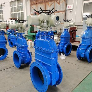 電動(dòng)閘閥Z941h -64 DN500（石化行業(yè)、煉油廠