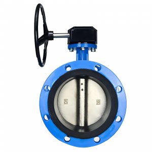 法蘭式蝸輪蝸桿蝶閥DN40，1.6Mpa（橡膠密封